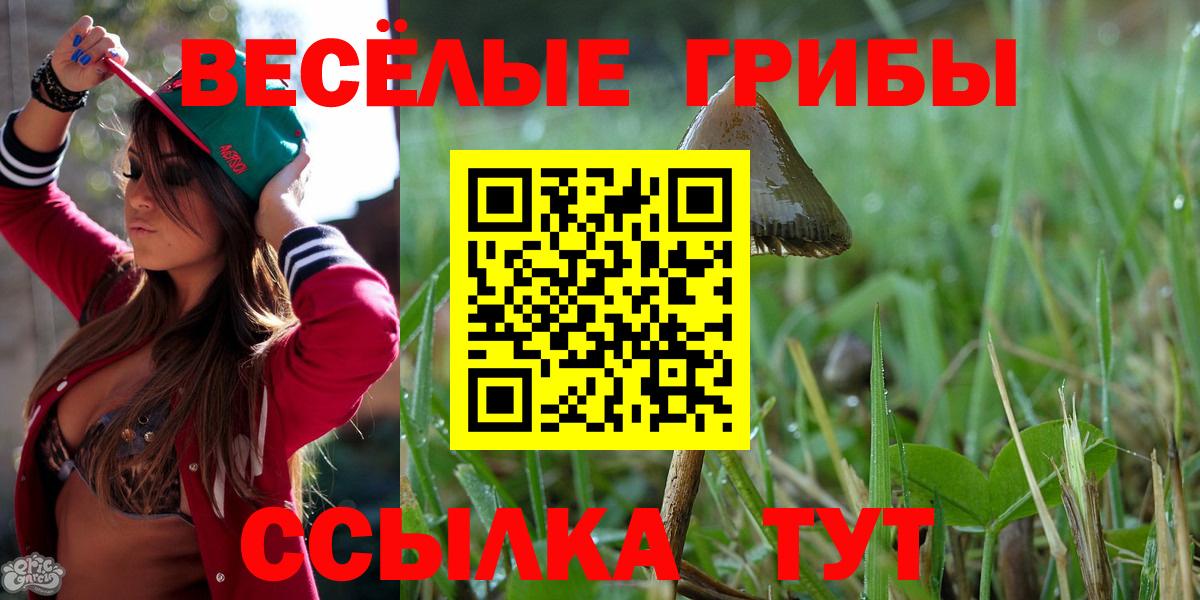 магазин  наркотиков  Псилоцибиновые грибы MAGIC MUSHROOMS  Вход с VPN  Краснознаменск 